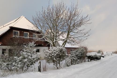 Langeoog Ferienwohnung Haus Dittrich - Winter