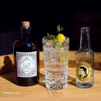 Gin Tasting